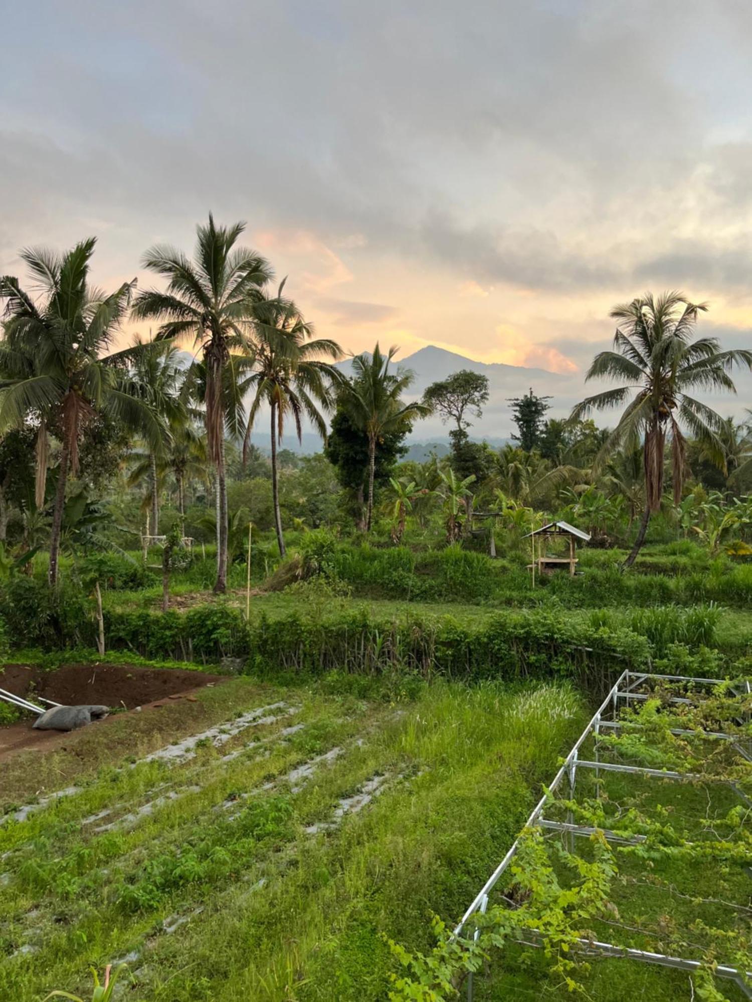 Rinjani Eco Villa Senaru Bayan Zewnętrze zdjęcie