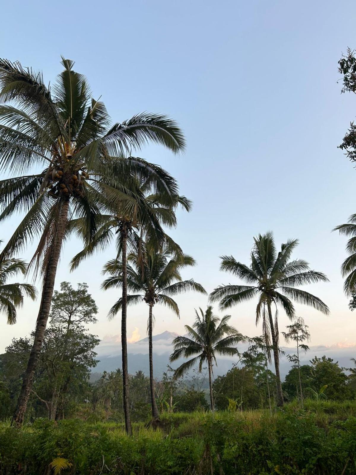 Rinjani Eco Villa Senaru Bayan Zewnętrze zdjęcie