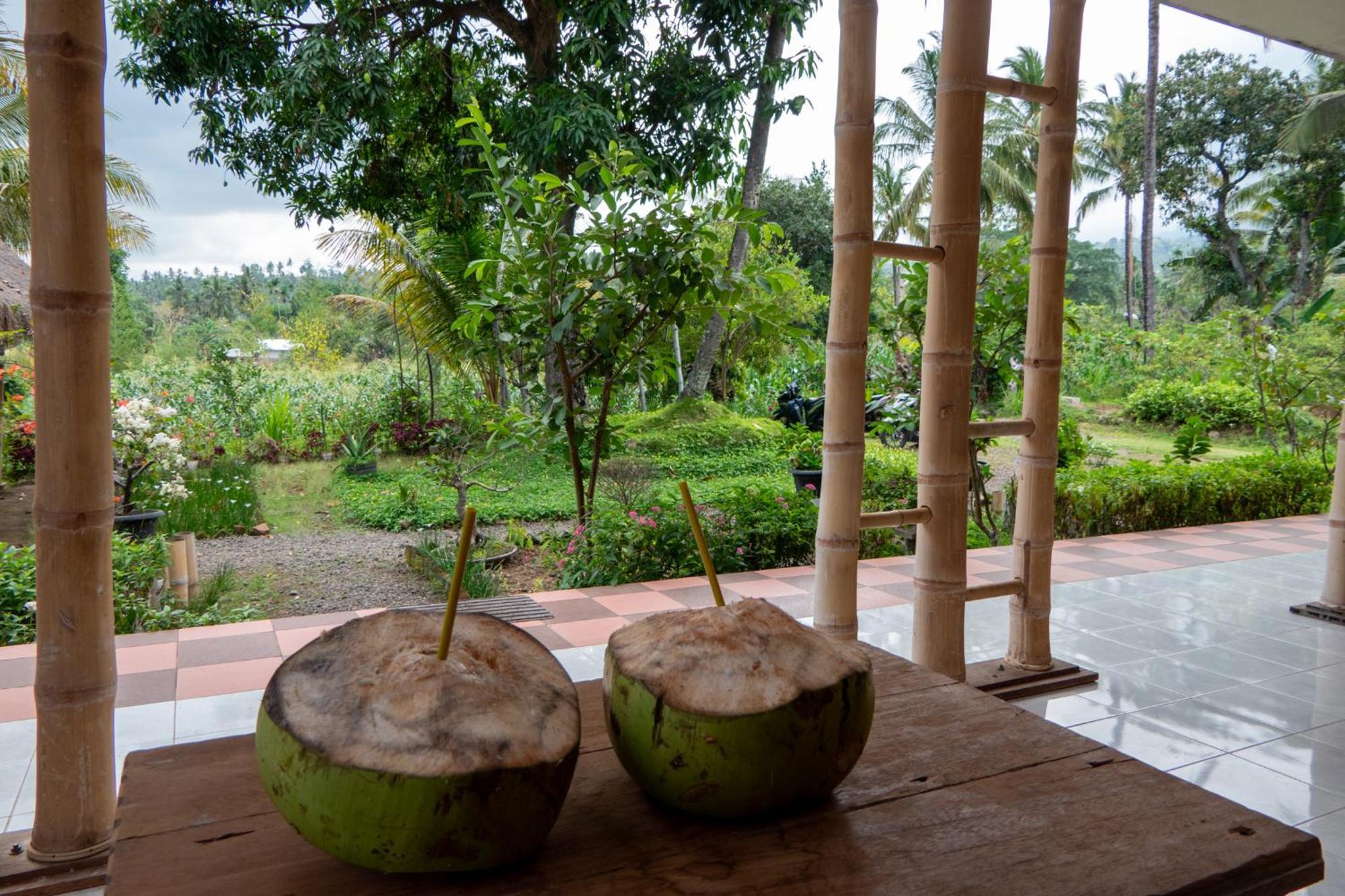 Rinjani Eco Villa Senaru Bayan Zewnętrze zdjęcie